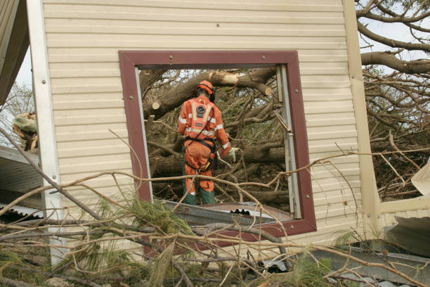  Naples, TX Tree Services Pros